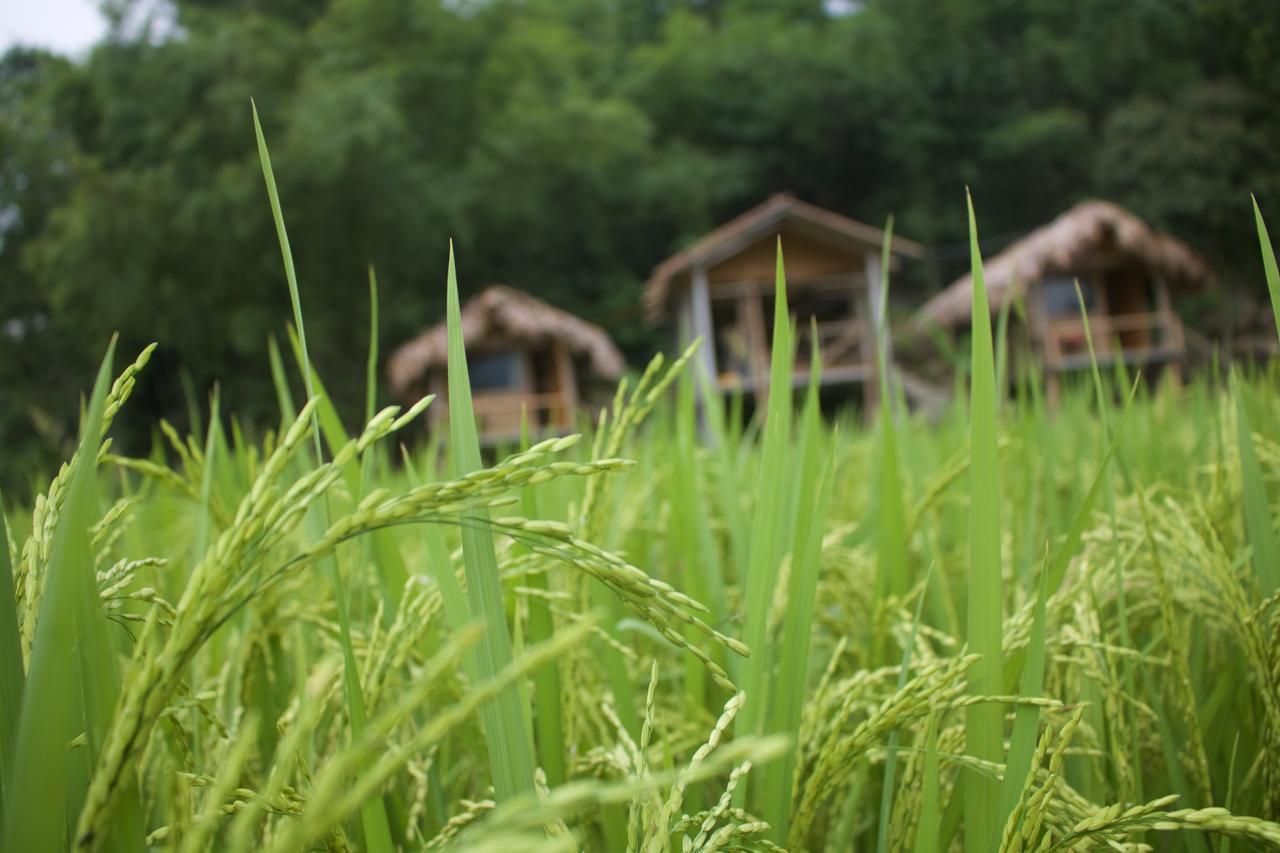Little Mai Chau Home Stay Екстериор снимка