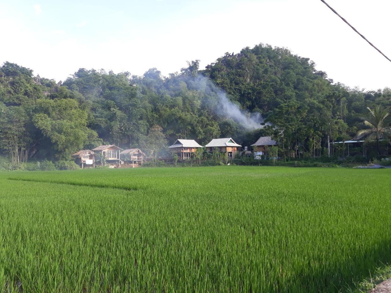 Little Mai Chau Home Stay Екстериор снимка