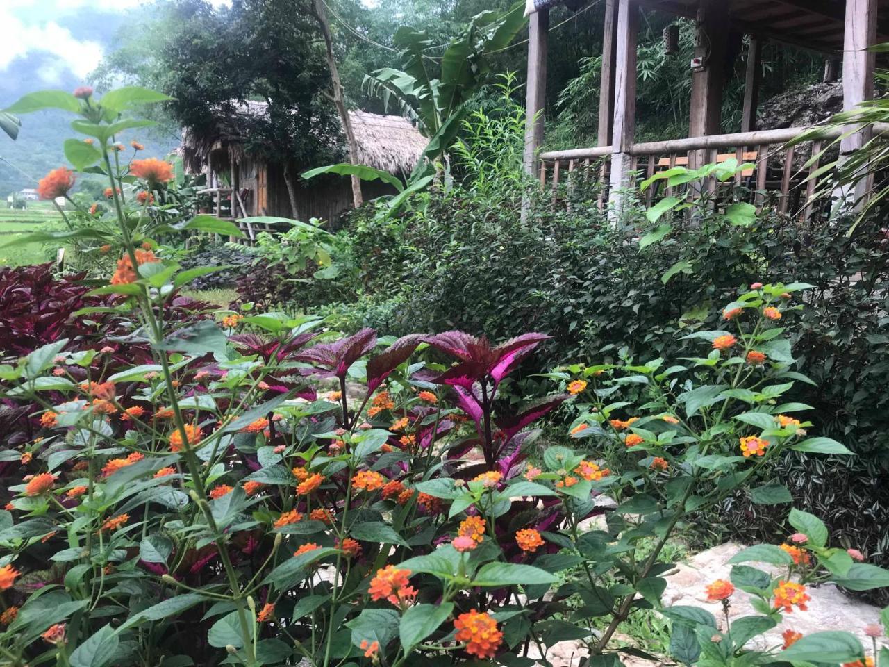 Little Mai Chau Home Stay Екстериор снимка