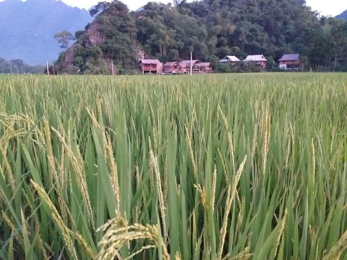 Little Mai Chau Home Stay Екстериор снимка